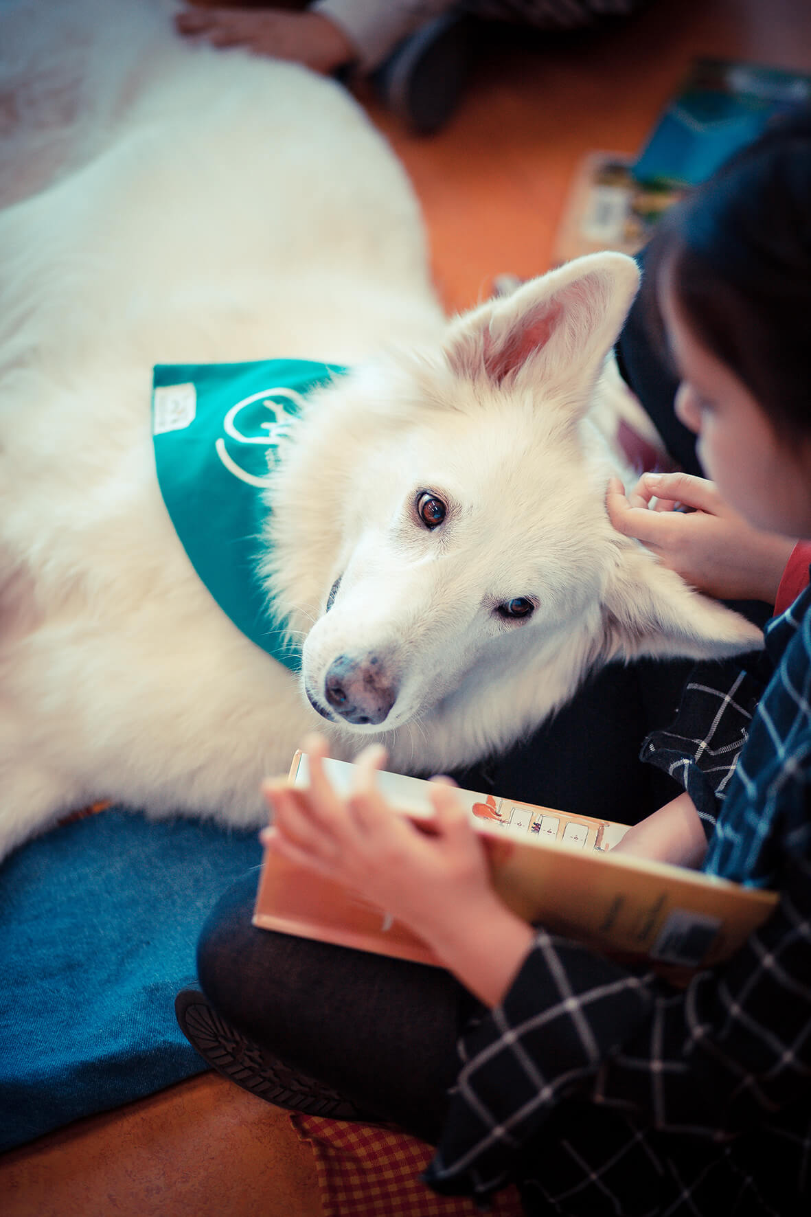 #podcast12: Animal Assisted Therapy
